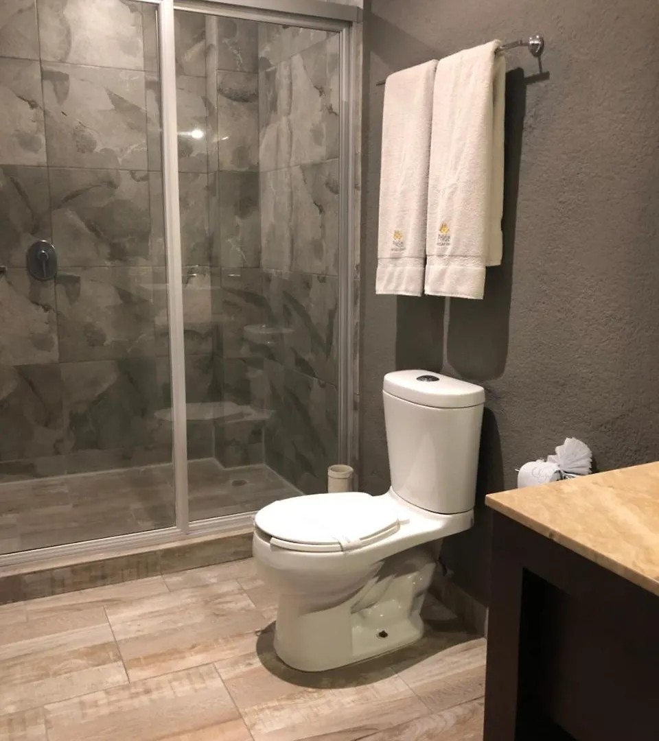 ***  Hotel Frida Puebla Mexico